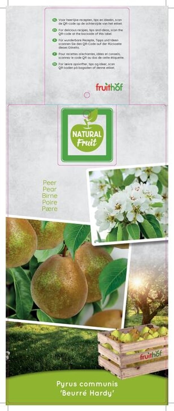 Pyrus c. 'Beurré Hardy' - C7,5 175-225 CM Halfstem